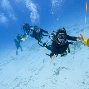 DRIFT DIVER