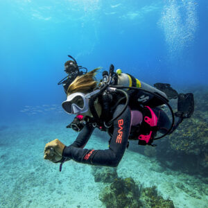 ENRICHED AIR DIVER
