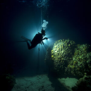 NIGHT DIVER