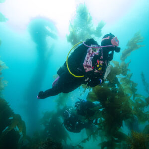 DRYSUIT DIVER