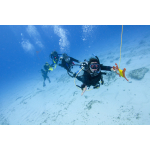 DRIFT DIVER