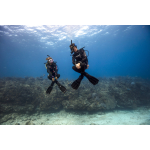 PEAK PERFORMANCE BUOYANCY