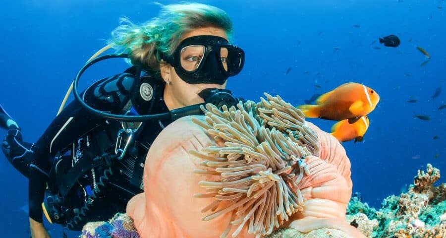 Underwater-Naturalist-2-900x480-1.jpg UNDERWATER NATURALIST - Image 1