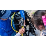Assistant Instructor